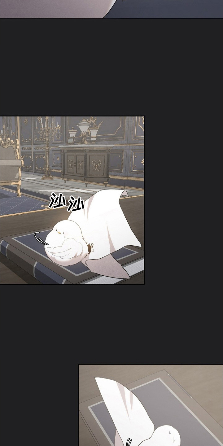 白鸟奇遇记漫画还叫什么漫画,第17章：取名1图