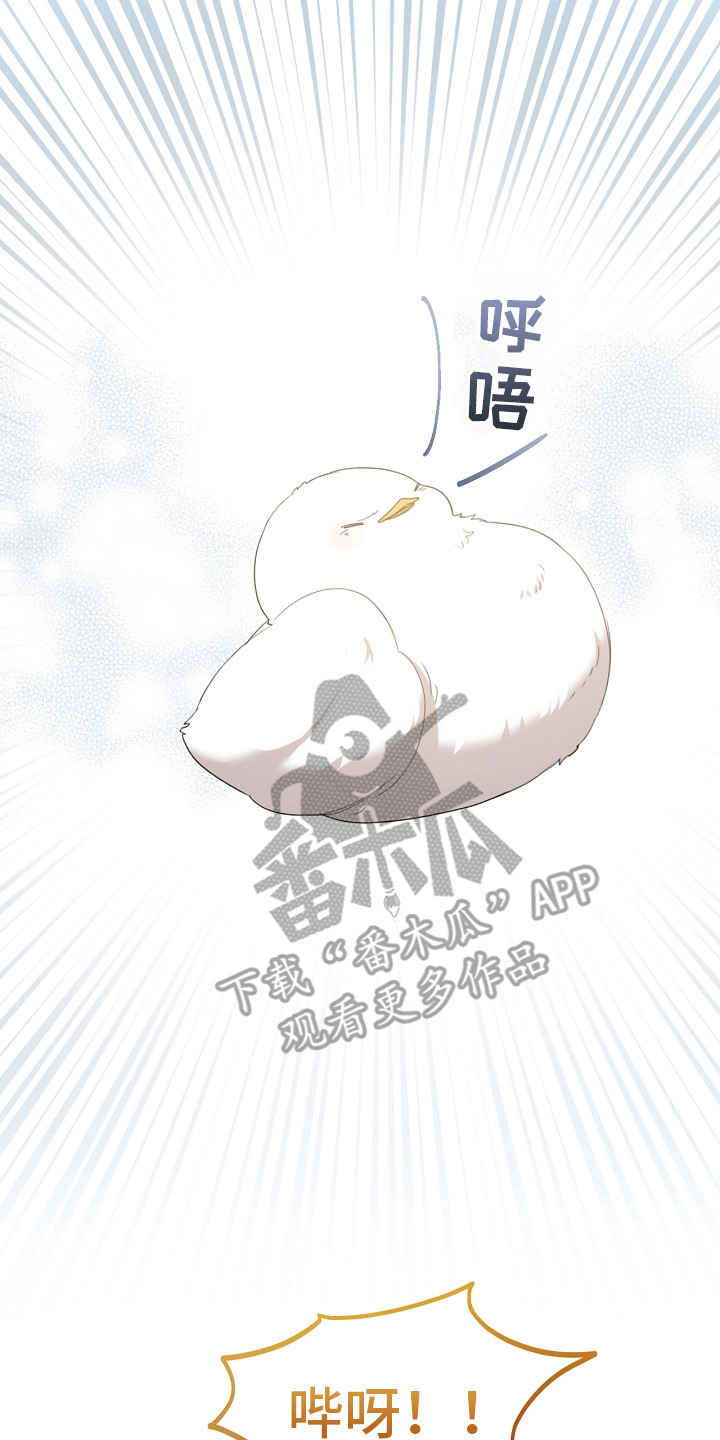 白鸟奇遇记又叫什么漫画,第8章：先发制人4图