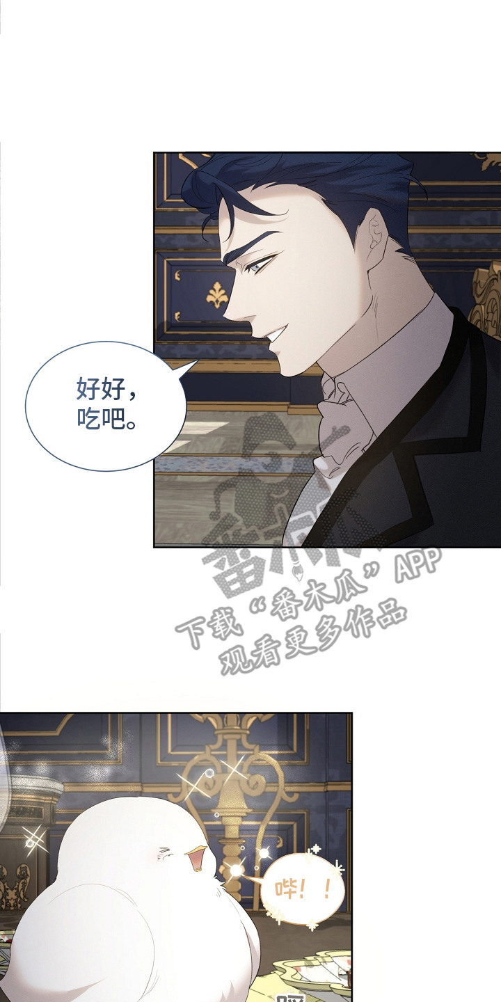 白鸟奇遇记又叫什么漫画,第15章：好好吃1图