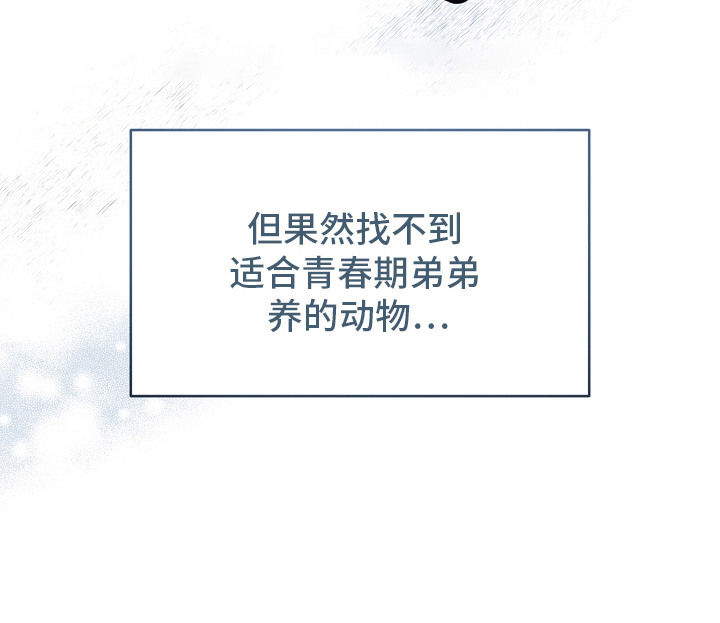 白鸟奇遇记漫画,第7章：流行趋势2图