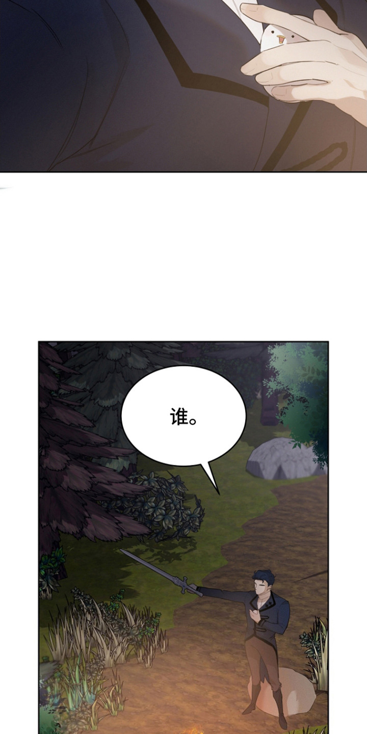 白鸟奇遇记漫画,第24章：牵动内心4图