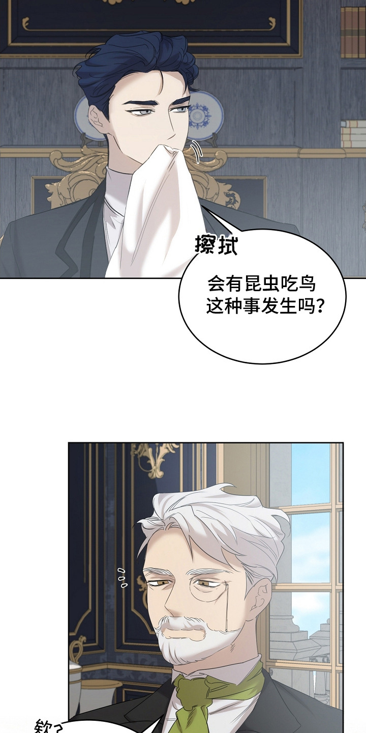 白鸟奇遇记6漫画,第11章：食物5图