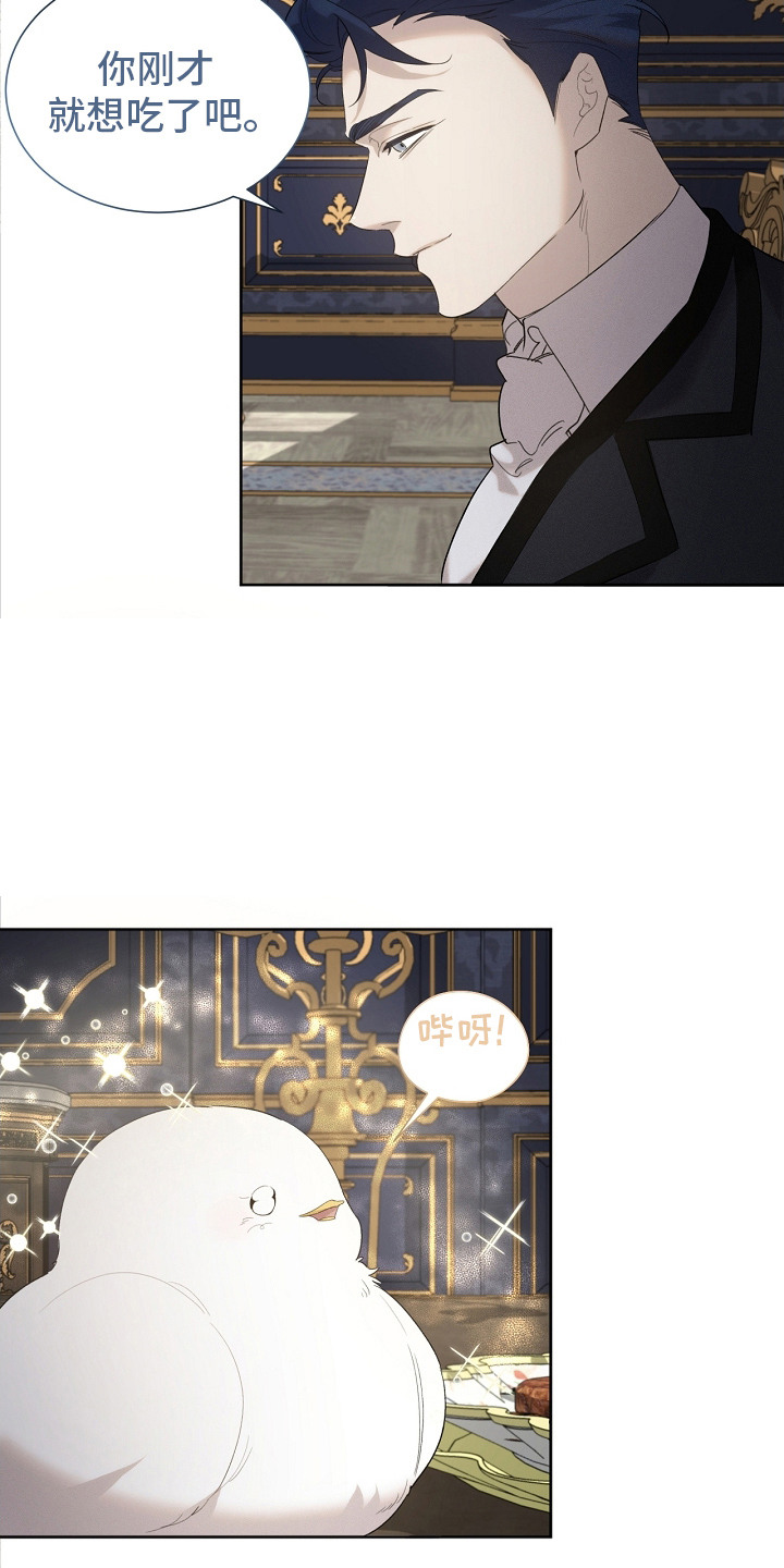 白鸟奇遇记漫画又名叫什么漫画,第15章：好好吃5图