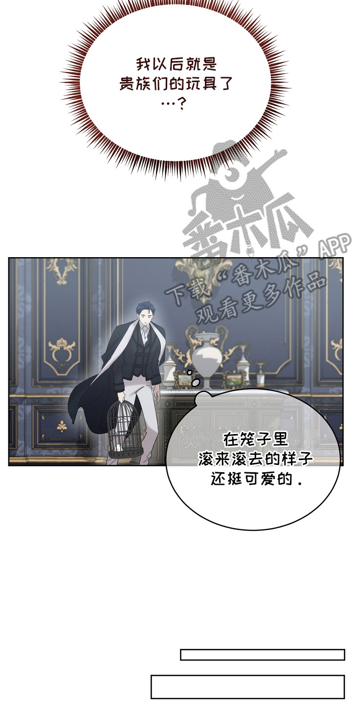 白鸟获取漫画,第10章：感兴趣4图