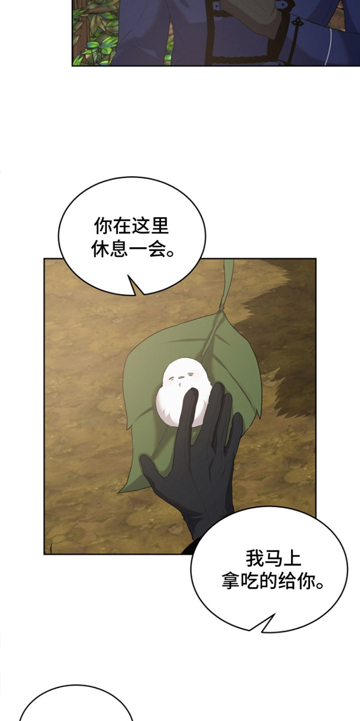 白鸟奇遇记6漫画,第23章：一脸心疼5图