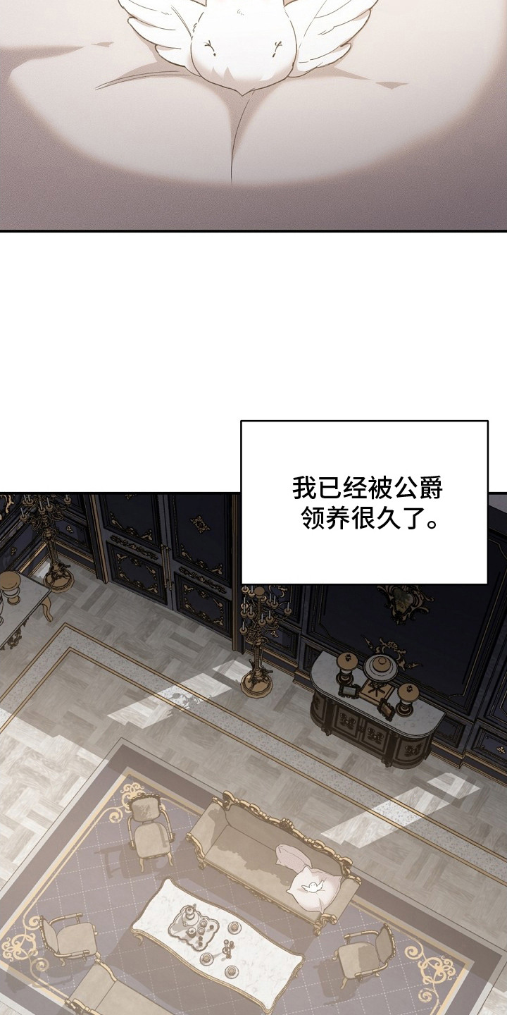 白鸟奇遇记6漫画,第18章：瑟瑟发抖5图