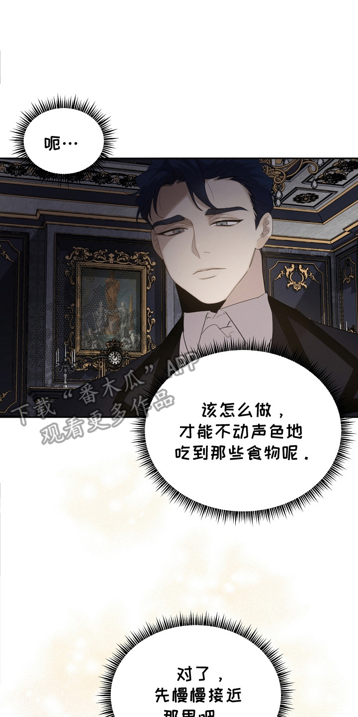 白鸟奇遇记漫画,第14章：很聪明2图