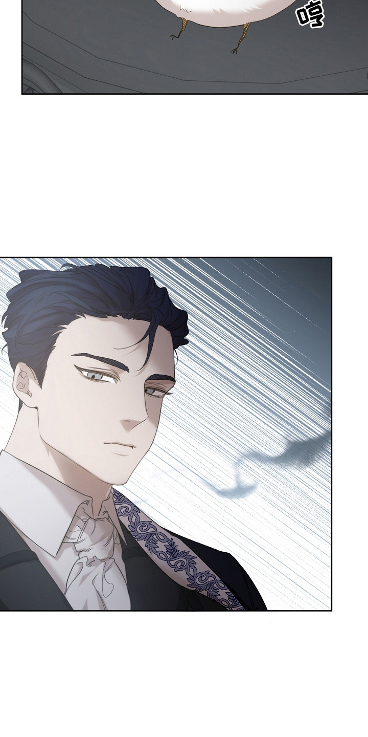 白鸟奇遇记第1季漫画,第8章：先发制人1图