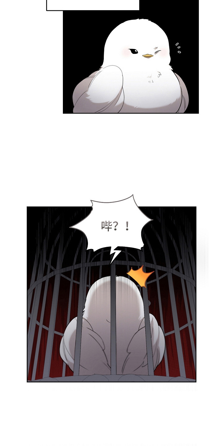 白鸟获取漫画,第5章：是真的5图