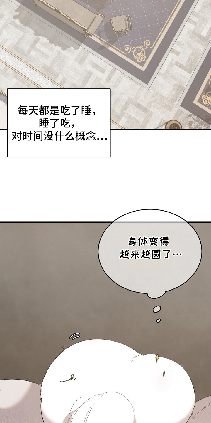 白鸟奇遇记6漫画,第18章：瑟瑟发抖1图