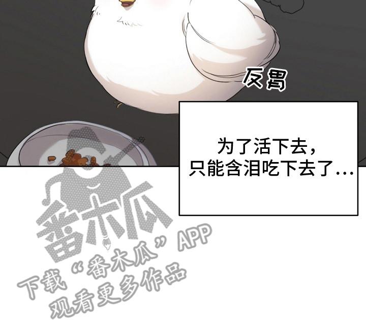 白鸟湖望谷路医院规划在哪漫画,第4章：性格不好1图