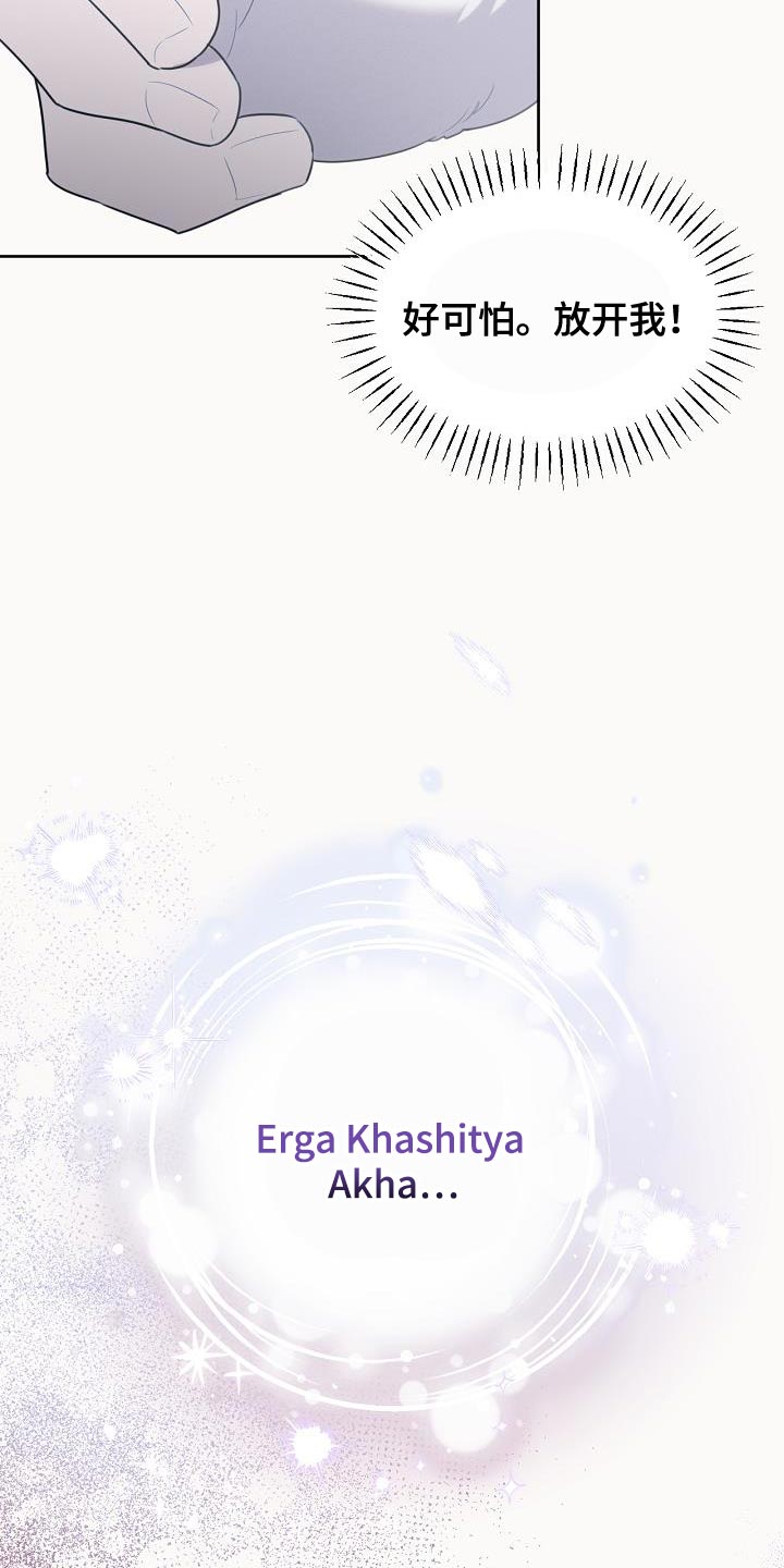 白鸟奇遇记漫画,第41章：似乎会很有趣2图