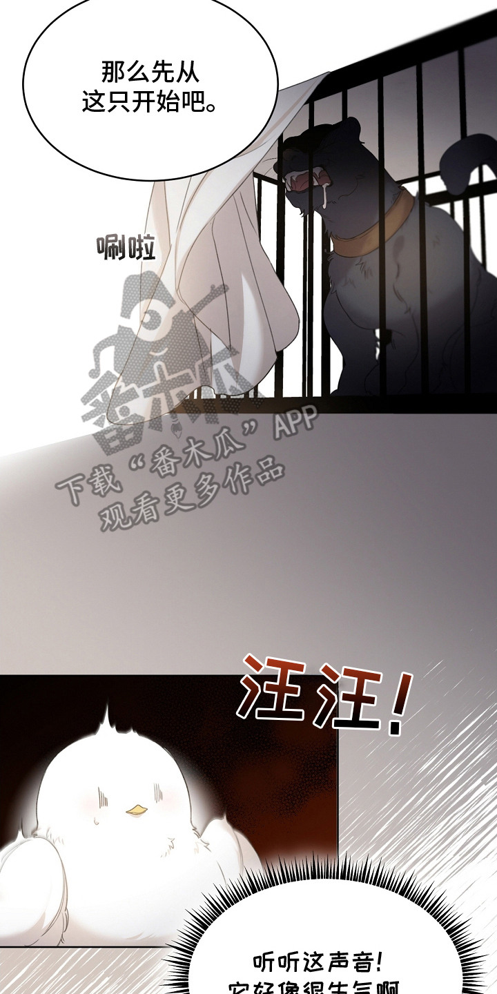 白鸟奇遇记漫画,第6章：公爵4图
