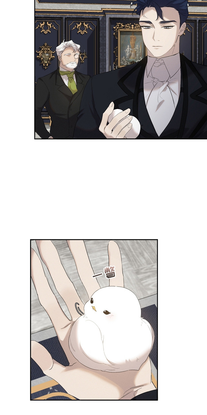 白鸟奇遇记漫画,第14章：很聪明1图