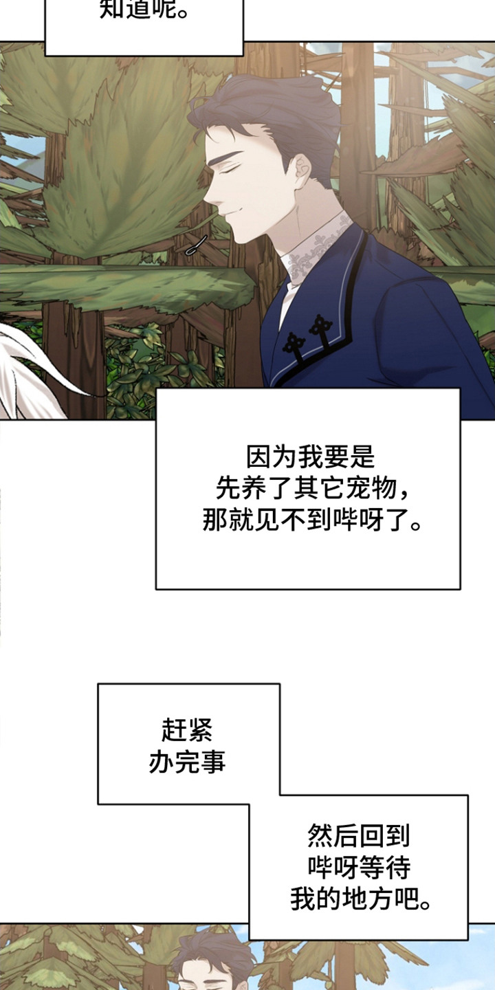 白鸟奇遇记小说漫画,第22章：精神救赎3图