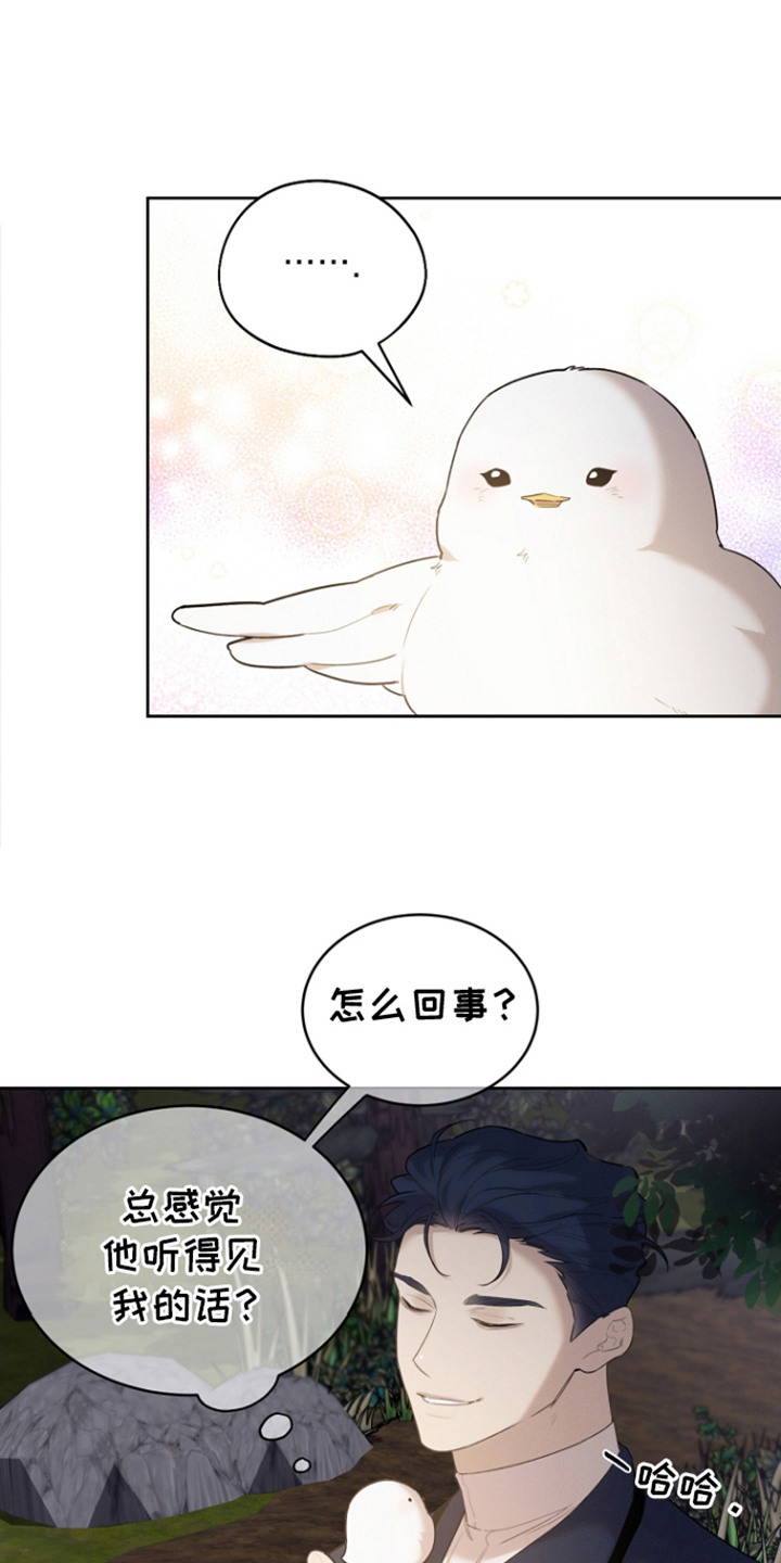 白鸟奇遇记漫画,第24章：牵动内心1图
