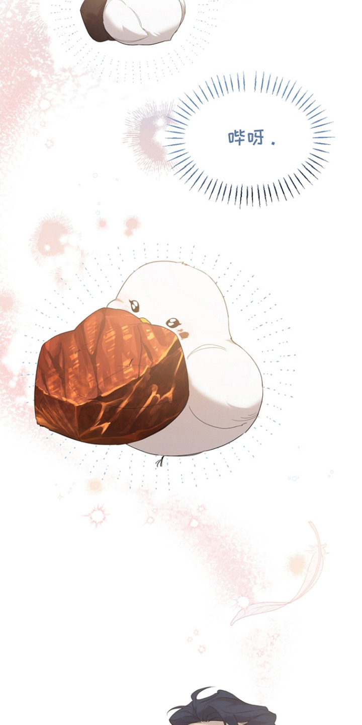 白鸟奇遇记漫画,第22章：精神救赎5图