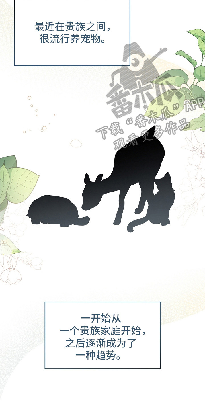 白鸟奇遇记漫画,第7章：流行趋势2图