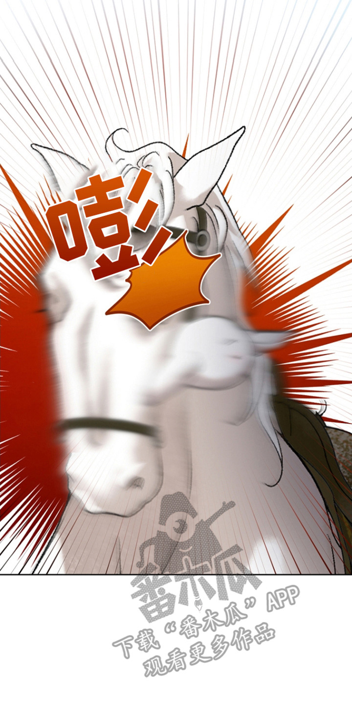 白鸟奇遇记1至200集漫画,第26章：被撞倒4图