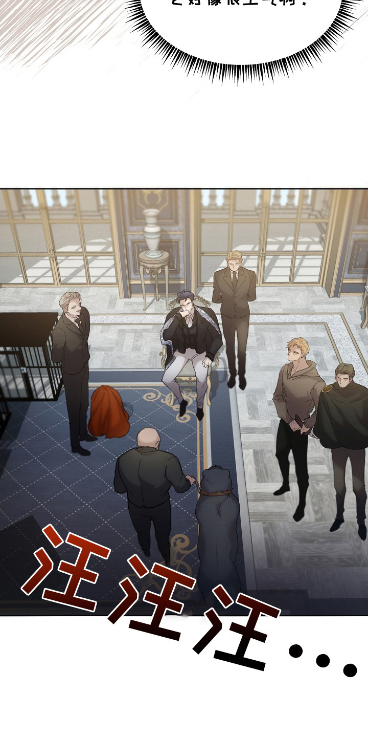 白鸟奇遇记漫画,第6章：公爵5图