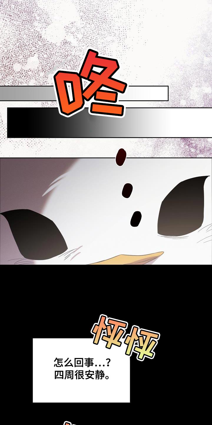 白鸟奇遇记漫画,第41章：似乎会很有趣3图