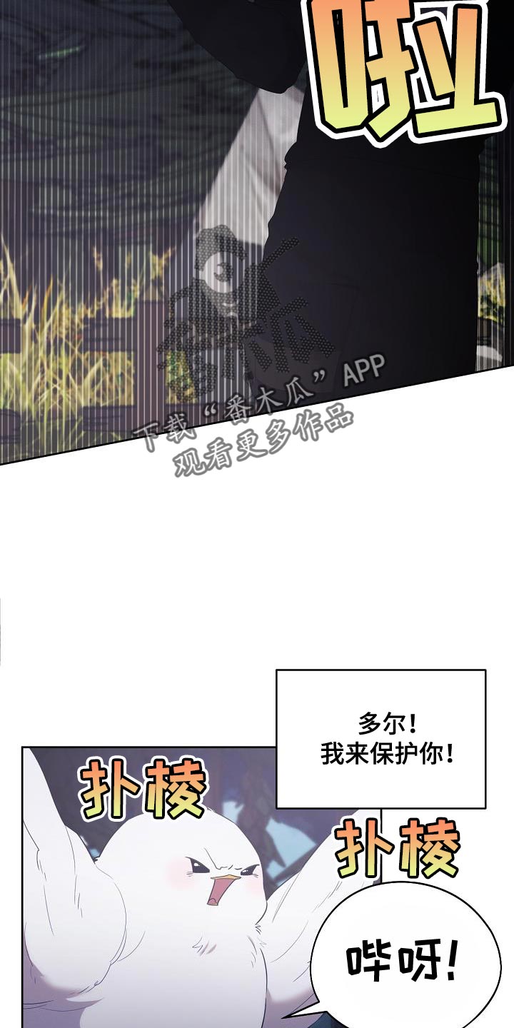 白鸟奇遇记漫画,第41章：似乎会很有趣4图