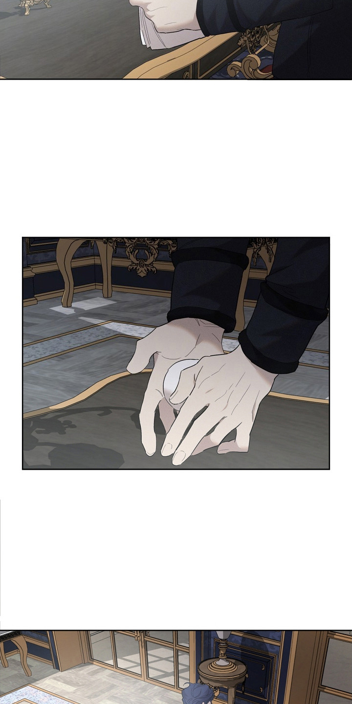 白鸟奇遇记漫画,第16章：并不生气5图