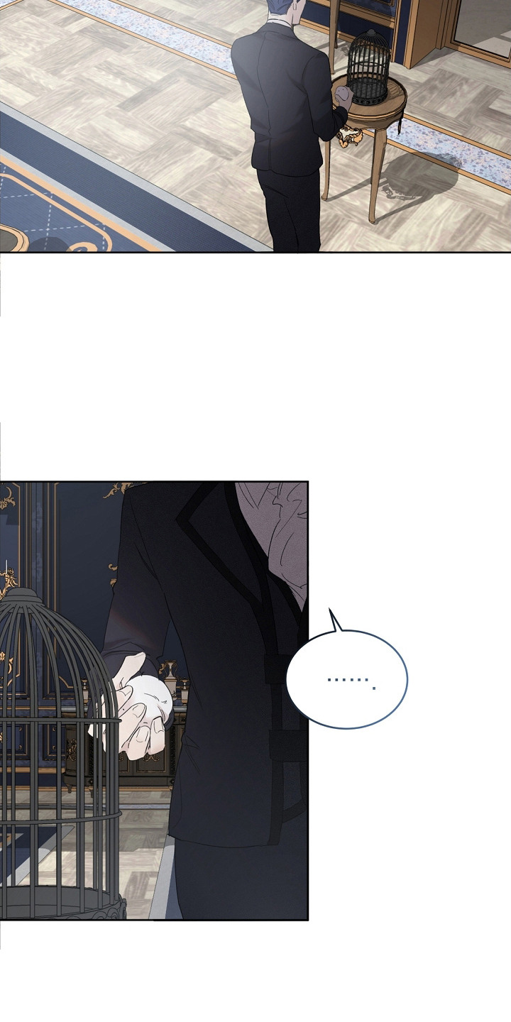 白鸟头发怎么获得漫画,第16章：并不生气1图