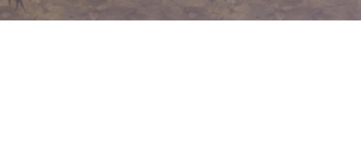 白鸟奇遇记1至200集漫画,第26章：被撞倒3图