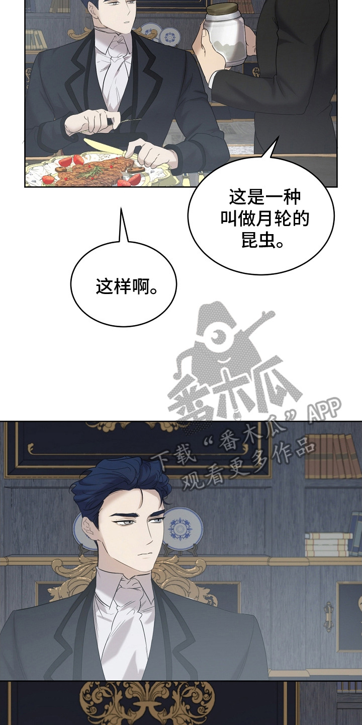 白鸟奇遇记6漫画,第11章：食物4图