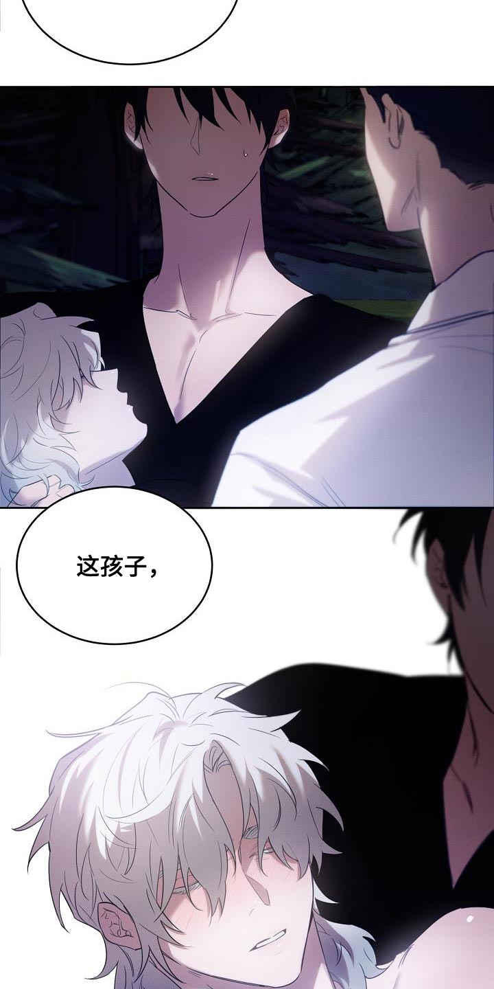 白鸟奇遇记漫画免费下拉观看漫画,第42章：兽人族4图