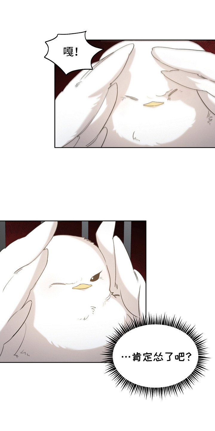 白鸟奇遇记漫画,第6章：公爵4图