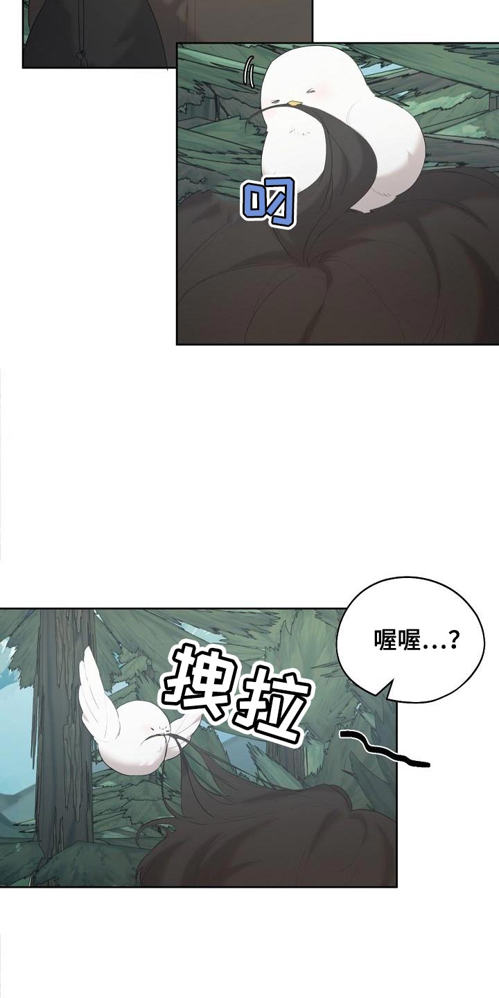 白鸟奇遇记第1季漫画,第28章：做得很好4图