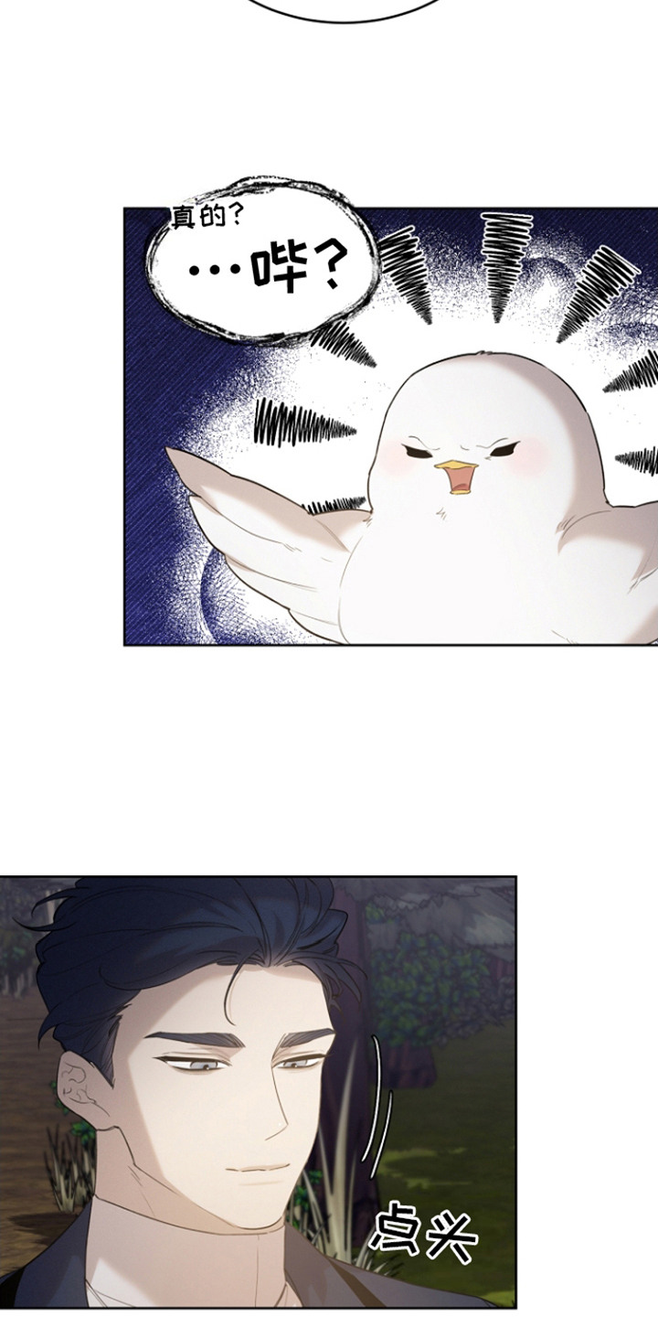 白鸟奇遇记漫画,第24章：牵动内心5图