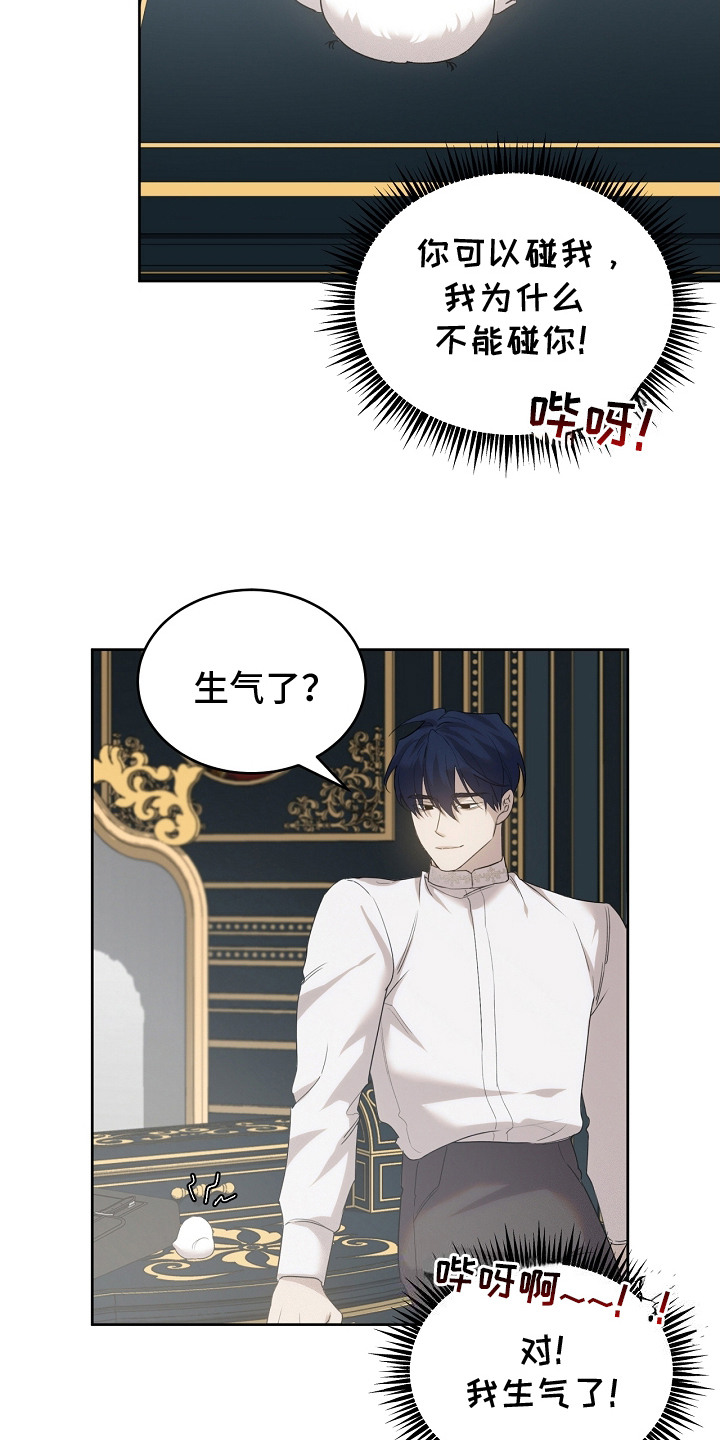 白鸟奇遇记漫画,第20章：筑巢1图