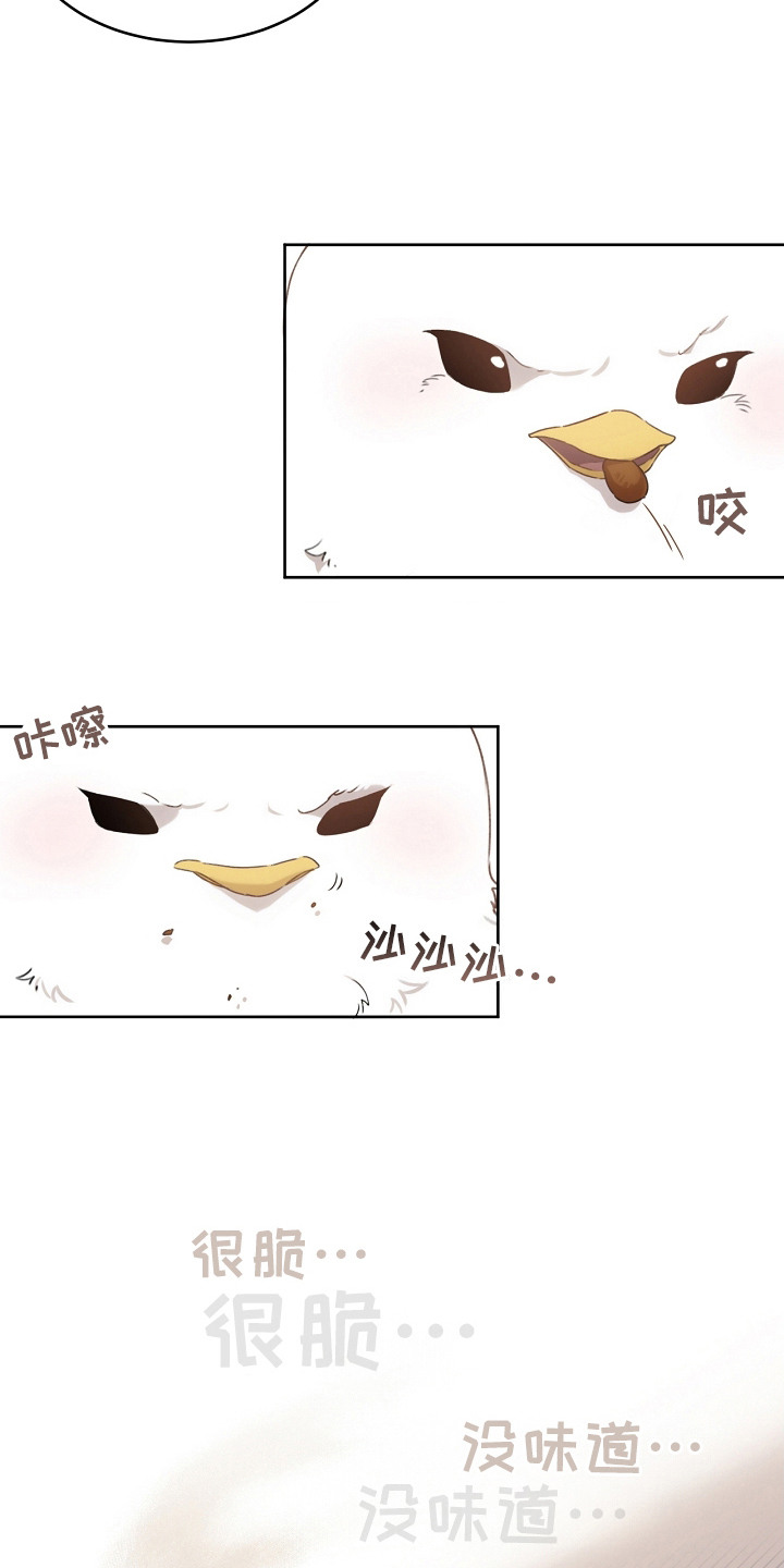 白鸟奇遇记漫画,第4章：性格不好4图