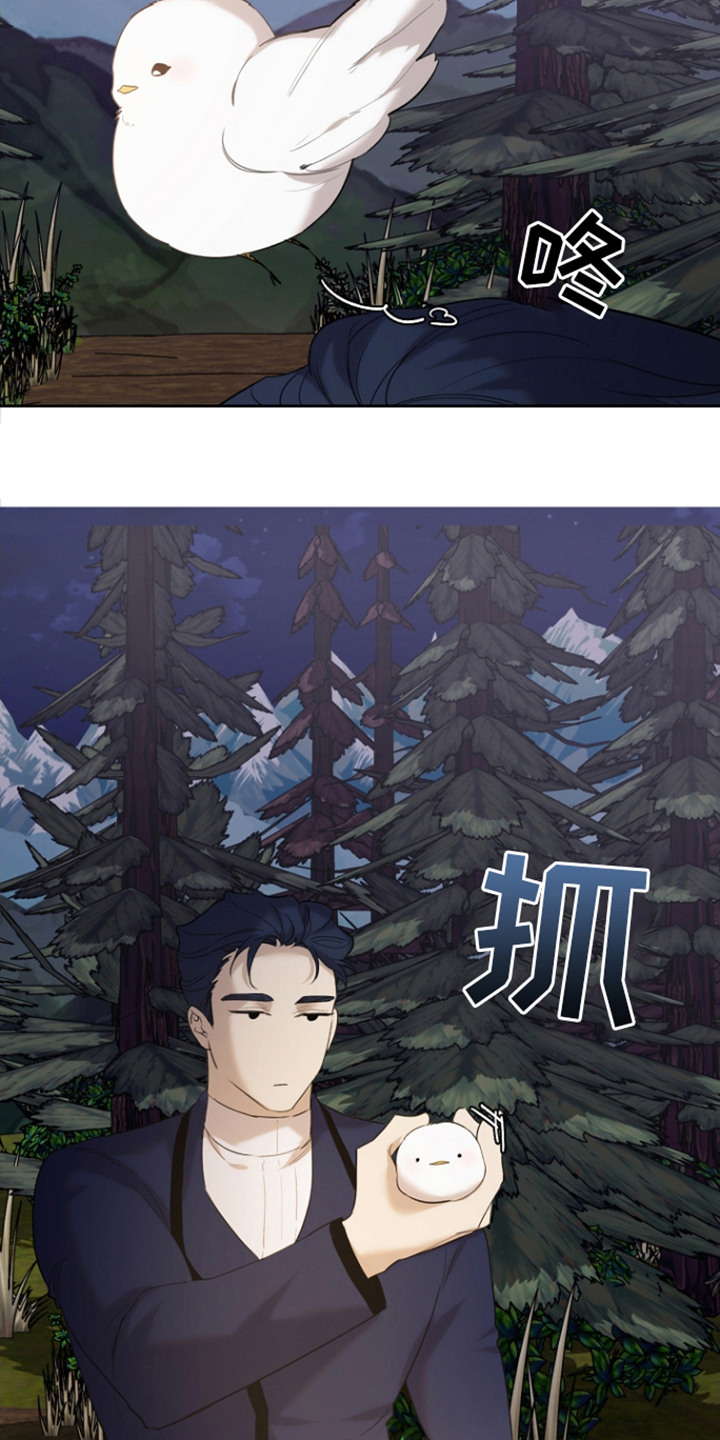 《白鸟奇遇记》简介漫画,第25章：陌生旅人5图