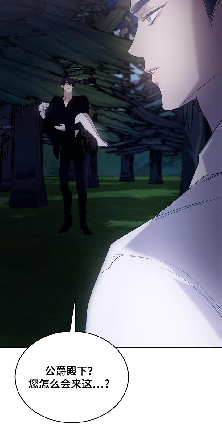 白鸟奇遇记漫画免费下拉观看漫画,第42章：兽人族2图