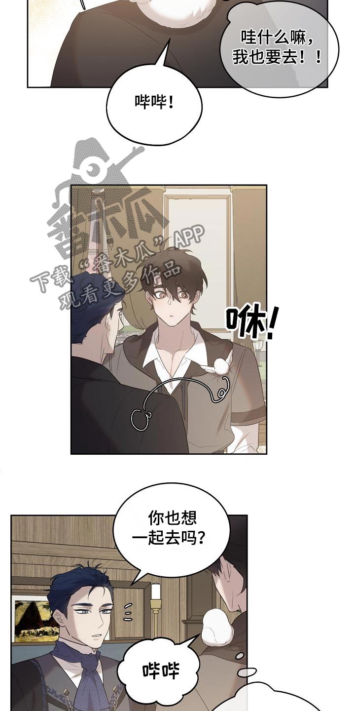 白鸟奇遇记漫画,第38章：我也要一起去1图