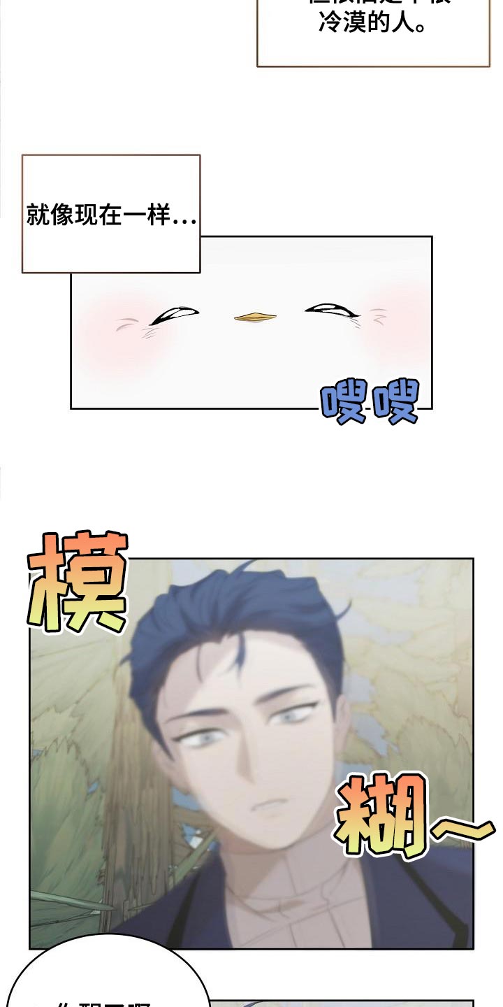 白鸟奇遇记漫画,第27章：好混乱啊4图