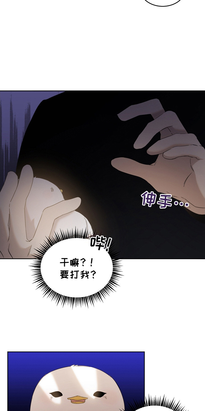 《白鸟奇遇记》简介漫画,第12章：一把抓住5图