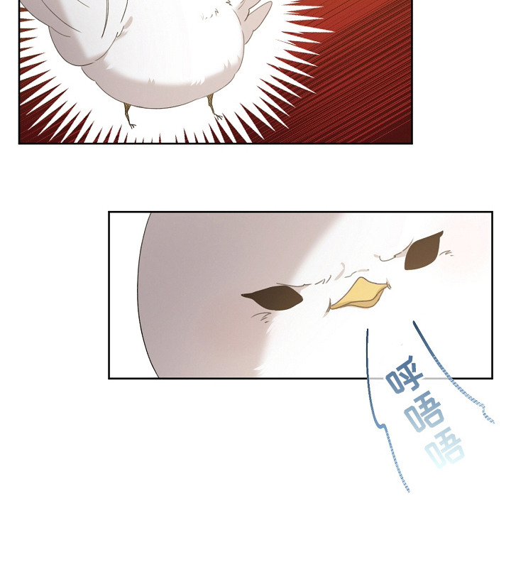 白鸟奇遇记第1季漫画,第8章：先发制人3图
