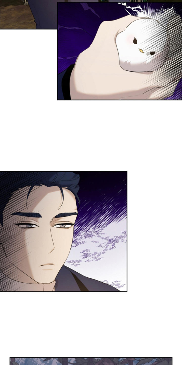 白鸟奇遇记6漫画,第25章：陌生旅人1图