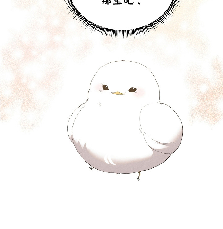 白鸟奇遇记漫画,第14章：很聪明3图