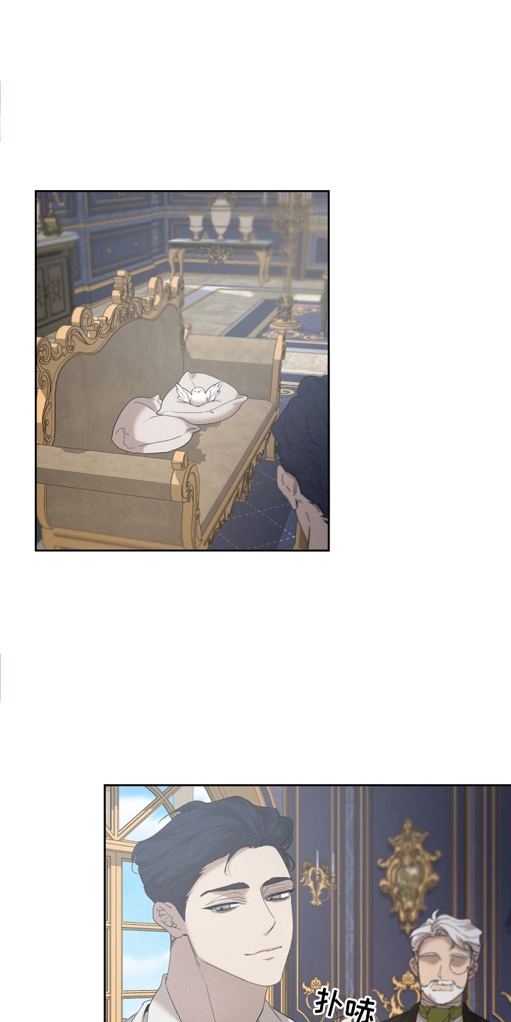 白鸟奇遇记6漫画,第18章：瑟瑟发抖3图