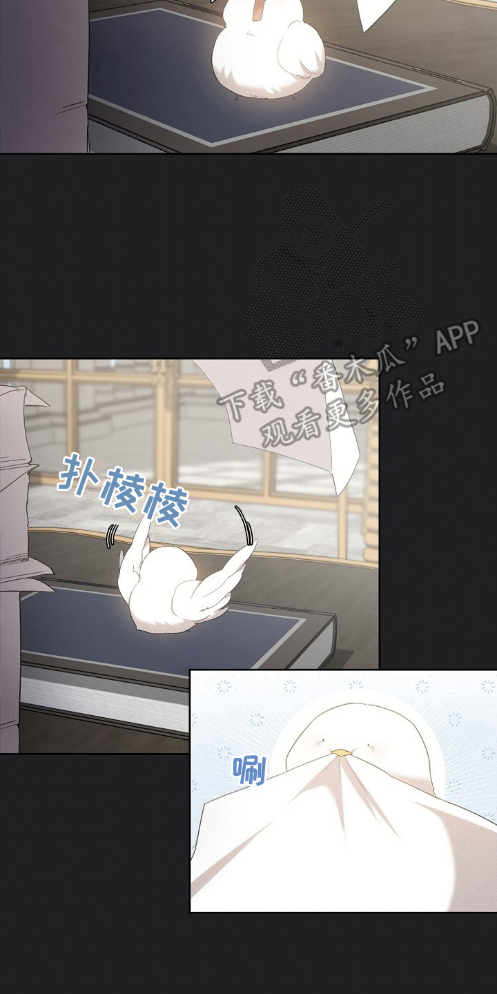 白鸟奇遇记6漫画,第17章：取名4图