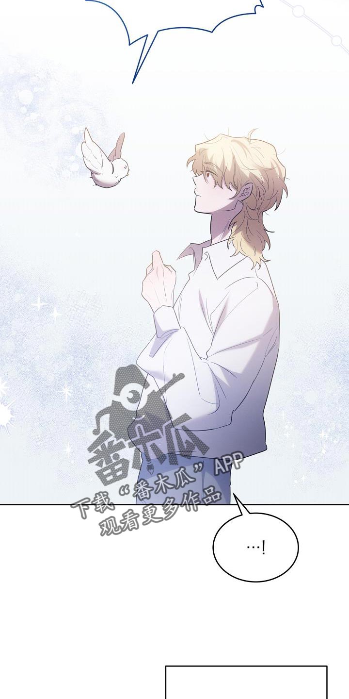 白鸟奇遇记漫画,第41章：似乎会很有趣2图