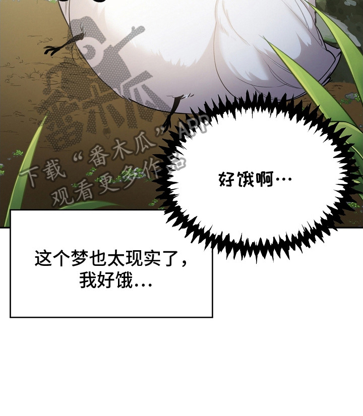 白鸟座漫画,第2章：白色小鸟2图