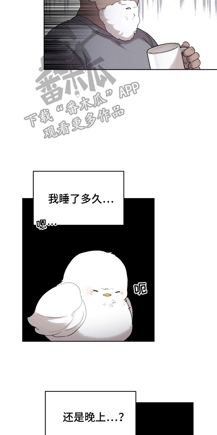 白鸟获取漫画,第5章：是真的4图