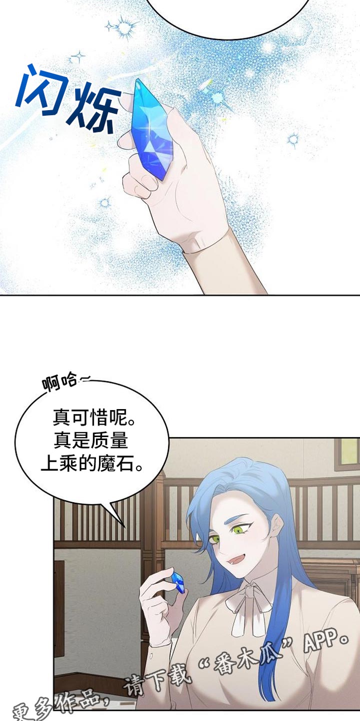 白鸟座漫画,第31章：上乘的魔石4图